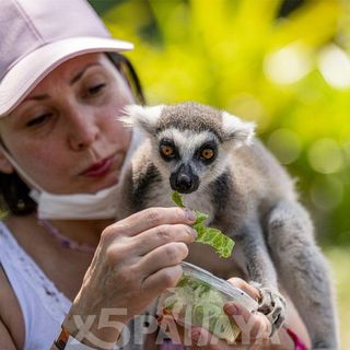 Зоопарк Кхао Кхео (Khao Kheo Open Zoo)