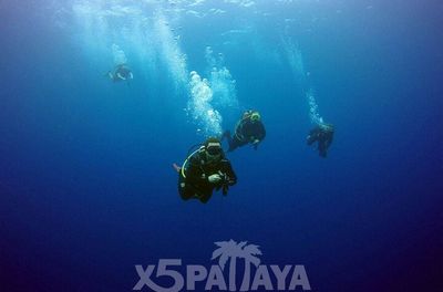 Дайвинг - Фото 1