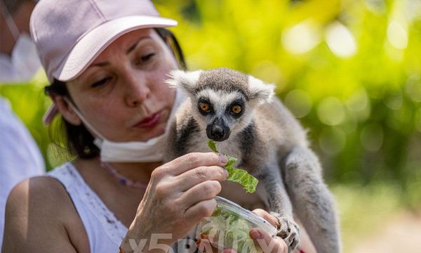 Зоопарк Кхао Кхео (Khao Kheo Open Zoo)