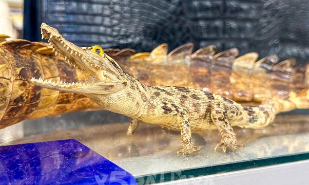 Вован Шоп - магазин кожаных изделий